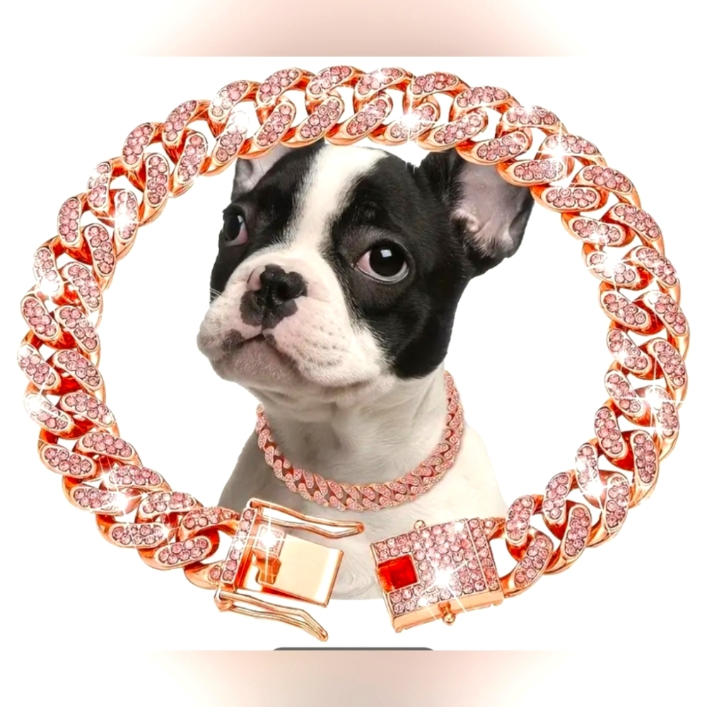 Pet Collar in All Sizes